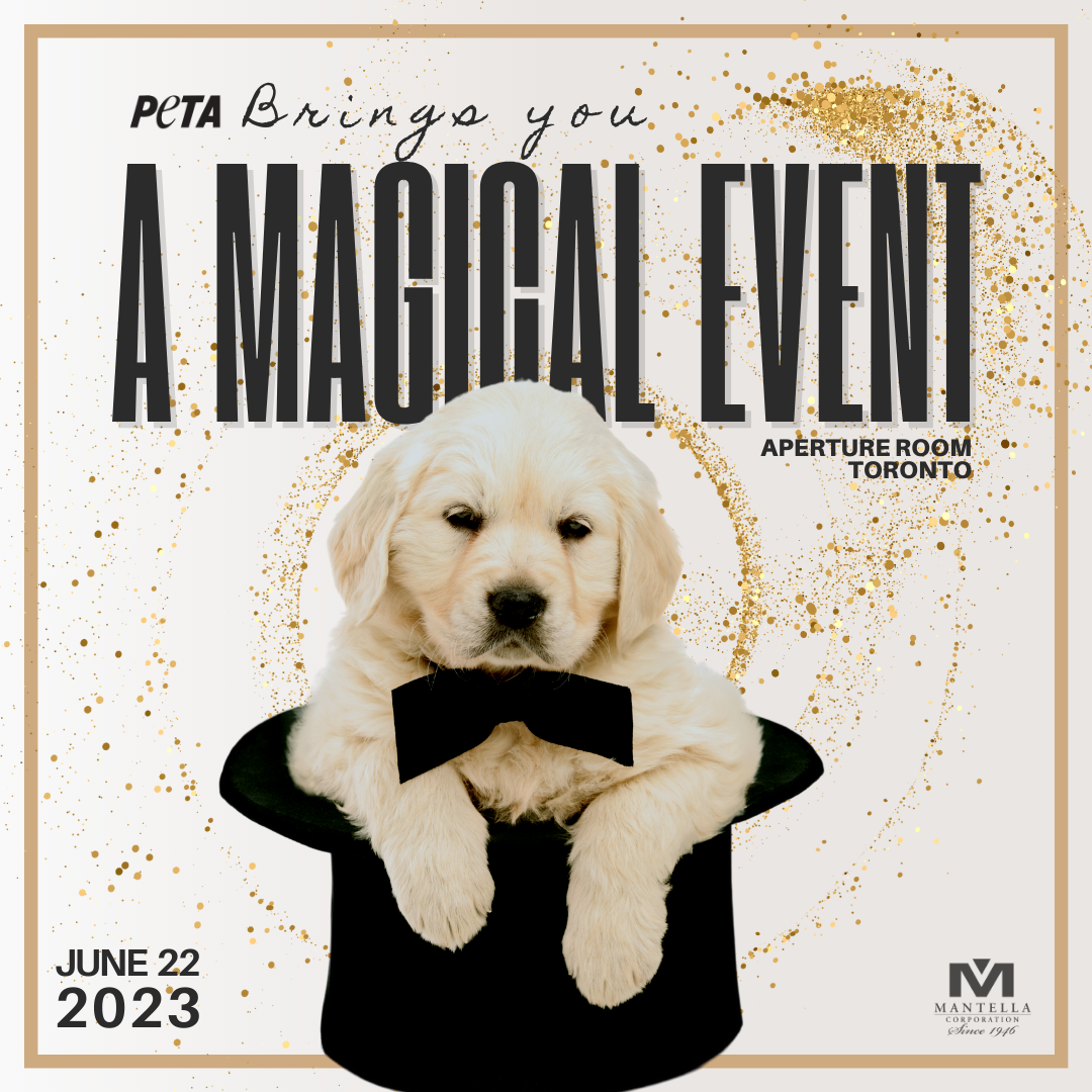 PETA Brings you - A Magical Event